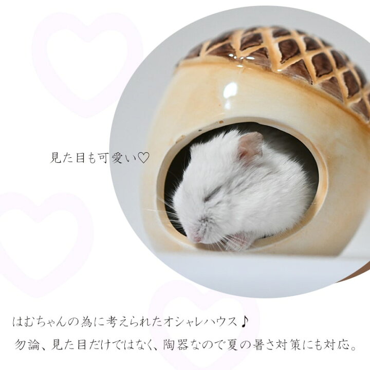 楽天市場 送料無料 ハムスター 陶器 暑さ対策 夏 ゴールデンハムスター ドワーフ ハウス 小屋 砂遊び ひんやり ハウス おしゃれ どんぐり クルミ ピーナツ 小動物 ジャンガリアン ロボロフスキー ギフト Minimini
