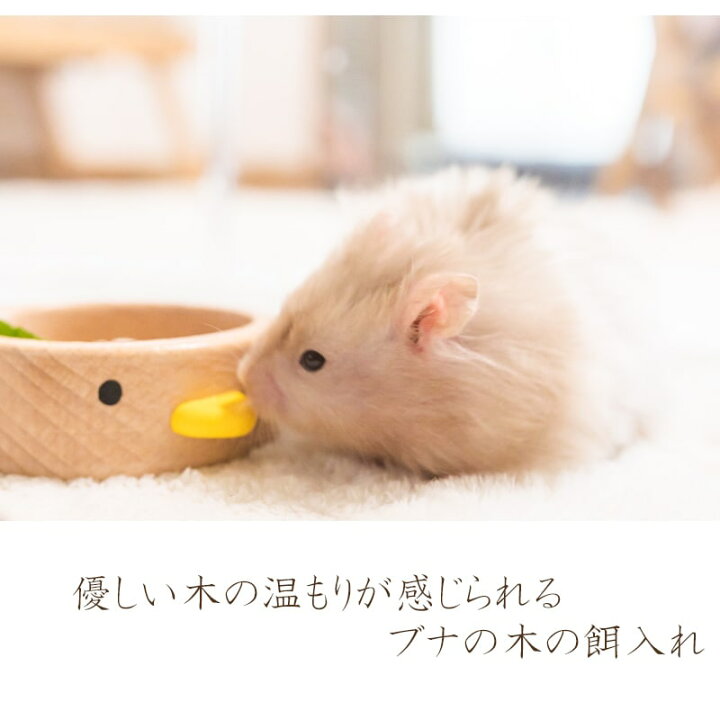 楽天市場 送料無料 木製 ハムスター フードボール 餌箱 エサ入れ かわいい ひっくり返し防止 ペット用品 かじり木 安心安全 インコ 鳥 小動物 小分け ひよこ リス デグー モモンガ かわいい シンプル おしゃれ ギフト Minimini