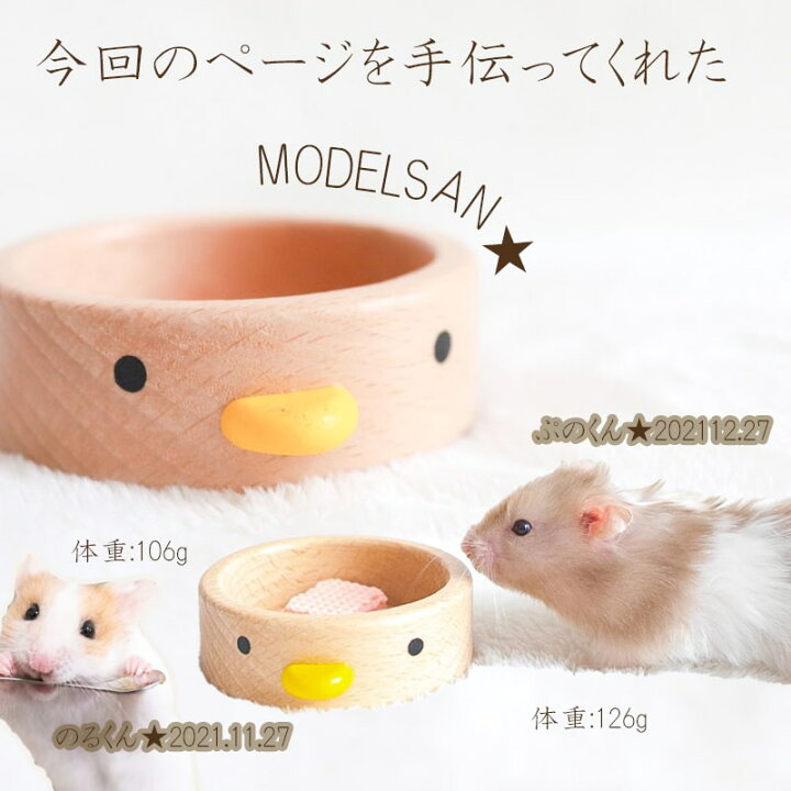 楽天市場 送料無料 木製 ハムスター フードボール 餌箱 エサ入れ かわいい ひっくり返し防止 ペット用品 かじり木 安心安全 インコ 鳥 小動物 小分け ひよこ リス デグー モモンガ かわいい シンプル おしゃれ ギフト Minimini