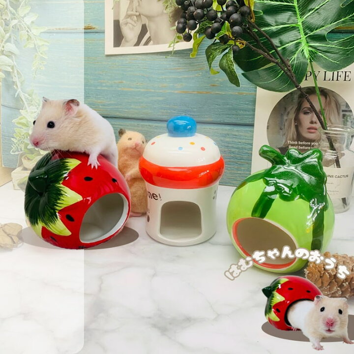 楽天市場 送料無料 ハムスター ハウス 陶器 かわいい フルーツ ハウス ドワーフハムスター ゴールデンハムスター 陶器 寝床 洗える 清潔 ゲージ ケージ インテリア 夏 暑さ対策 冷たい ハウス いちご すいか おうち Minimini