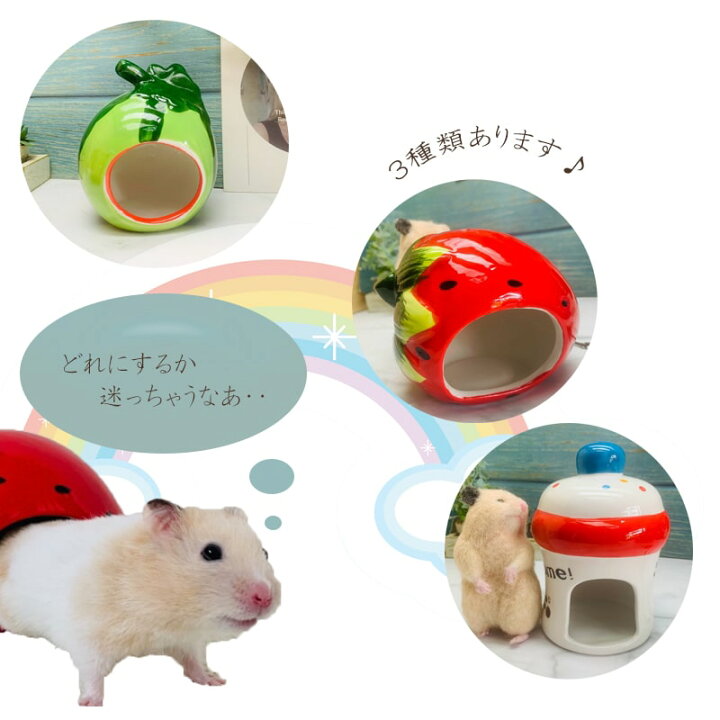 楽天市場 送料無料 ハムスター ハウス 陶器 かわいい フルーツ ハウス ドワーフハムスター ゴールデンハムスター 陶器 寝床 洗える 清潔 ゲージ ケージ インテリア 夏 暑さ対策 冷たい ハウス いちご すいか おうち Minimini