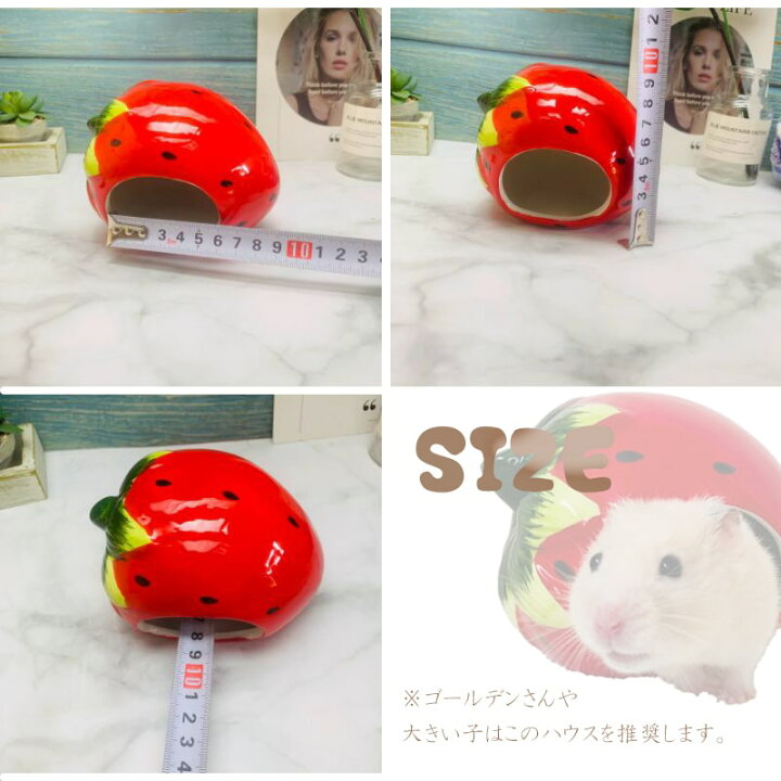 楽天市場 送料無料 ハムスター ハウス 陶器 かわいい フルーツ ハウス ドワーフハムスター ゴールデンハムスター 陶器 寝床 洗える 清潔 ゲージ ケージ インテリア 夏 暑さ対策 冷たい ハウス いちご すいか おうち Minimini