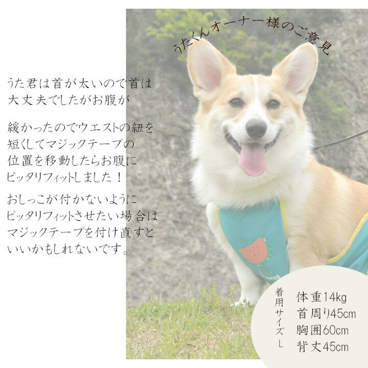 楽天市場 送料無料 訳あり コーギー エプロン 泥除け 小型犬 犬用 泥はね予防 雨の日 泥よけ メッシュ裏地 汚れにくい お腹 防水 お散歩 デイリー 中型犬 レインコート フレンチブルドッグ パグ フレブル 1000円ポッキリ Minimini