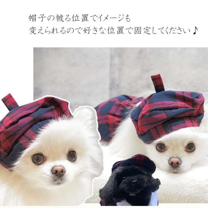 楽天市場 送料無料 犬 ベレー帽 小型犬 帽子 中型犬 小物 撮影 ポメラニアン アクセサリー バースデー 秋 春 夏 誕生日 かわいい 癒し グッズ 写真撮影 チェック柄 模様 イベント トイプードル チワワ Minimini