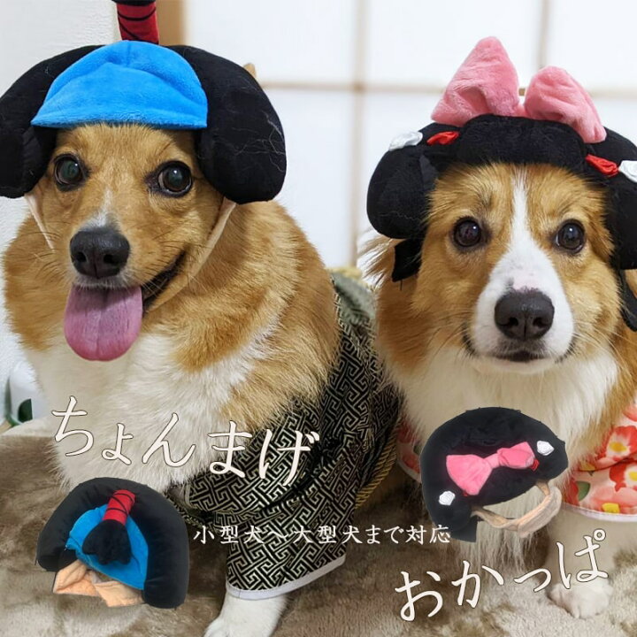 楽天市場 送料無料 犬 コスプレ 武士 お殿様 姫 アクセサリー かつら かわいい おもしろ ハロウィン 正月 ひな祭り イベント マジックテープ 調節可能 着脱簡単 おしゃれ エクステ ウィッグ 柴犬 小型犬 コーギー 大型犬 Minimini