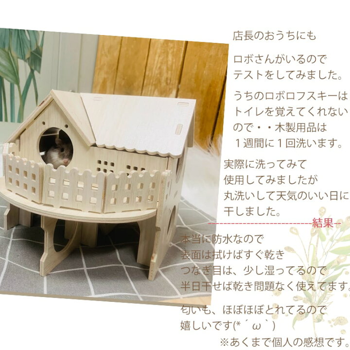日本初の ハムスターハウス ナチュラルハムスターハウス木製動物のネストの生息地のためにヘッジホッグマウスのドワーフ ハムスタートレーニングルーム Color Picture Color サイズ 17x8x17cm Www Sanchetana Org