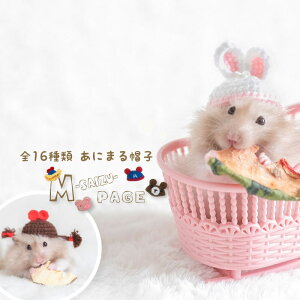 yMy[WznX^[ Xq   ڂ nEB Cxg Obc pi DXq ঒ p  \ jbgX RXv NX}X  ʂ ڂ Ԃ 