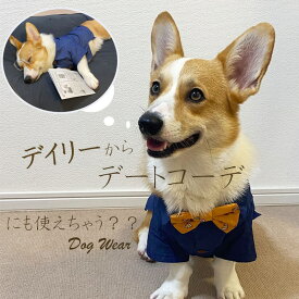 【送料無料】 コーギー デニム シャツ 薄手 ドックウェア 無地 かわいい ドッグウェア ペットウェア Tシャツ 犬服 中型犬 韓国 犬の服 犬用コスチューム 人気 仮装【クリックポスト】