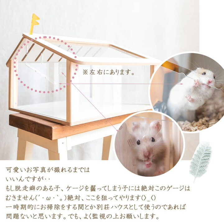 楽天市場 宅急便本州 送料無料 ハムスター ケージ アクリル スケルトン ナチュラル 別荘 おしゃれ インテリア よく見える 透明 ゲージ 木のハウス ロボロフスキー ジャンガリアンハムスター ドワーフハムスター Minimini