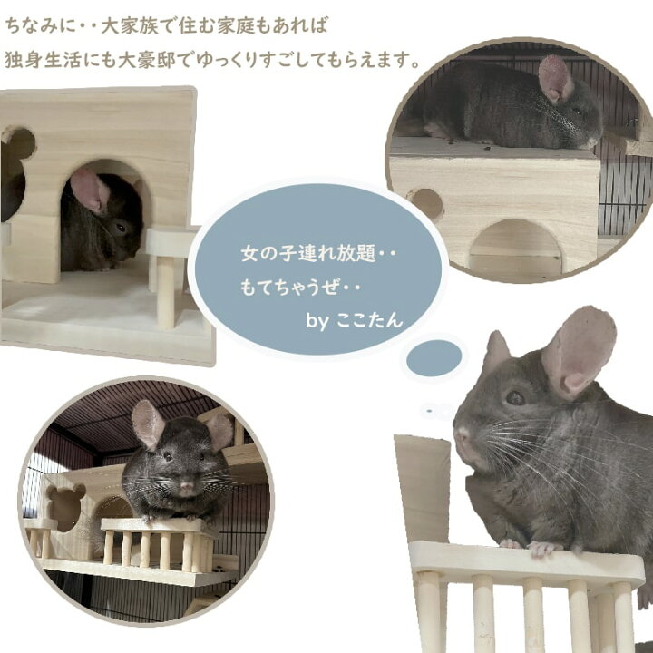 楽天市場】チラション 木製 ハウス チンチラ 齧り木 ポプラの木 安心  