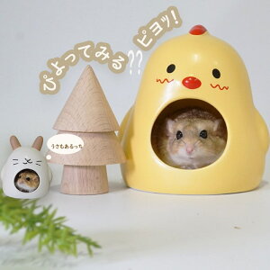 y͂@z nX^[  nEX Q     nX^[ ΍ Vv n WKA {tXL[ h[tnX^[ }Jj}EX   