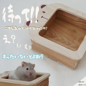 y͂z nX^[ t[h  a GT   M fO[ t[h{E  S[fnX^[ WKAnX^[ ؐ mgC ]gy[/