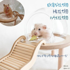 yznX^[ oX nEX S[fnX^[ gC XPg C  э ThoX Nff łႤ  2WAY nEXɂȂ B ya14cmzy{