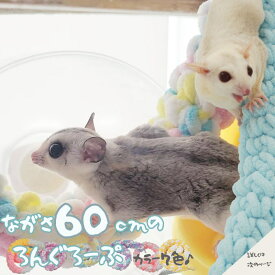 【すぐ届く/複数割あり】 モモンガ ふわもこ ロング ロープ 止まり木 ブランコ 小動物 遊び場 クライミング コットン ロープ ケージアクセサリー おもちゃ かわいい