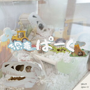 yy/͂znX^[ nEX  [ ΎR gN^[  ؐ P[W    킢 S VѐSς S[fnX^[ h[tnX^[ ybgpi