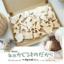 楽天市場】チンチラ キューブ（かじり木｜小動物用品）：ペット 