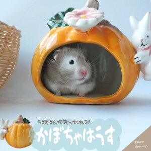ڂnEX nX^[  퐻 nX^[  S[fnX^[ Ђ 킢 ڂ ԕt 􂦂 ېOK i`CeA  nEX
