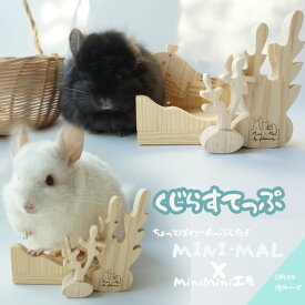 チンチラ くじらステップ 木製 小動物 ステップ ハンドメイド かじり木 国産パイン材 乾燥KDパイン材 ナチュラル ケージ ステップ おしゃれ チンチラ 遊び場 ミニマル minimini工房 コラボ 海シリーズ 海藻モチーフ