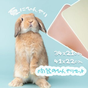 Ђ}bg p  `` }bg  N[}bg ybg pXeJ[ ybgp}bg 􂦂  ΍ N[v[g