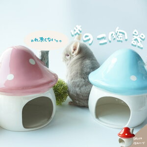 (}/)``  nEX LmR MǑ΍ I[V[Y ybgpi  Q   傫 Yh~  Ђ  ` 킢 Q[W CeA  