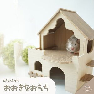 nX^[ nEX K ؐ 傫 T o  t Xebvt  킢 nEX  i`fUC nX^[pi  P[Wݒu ʐ^f nEX