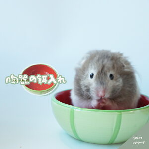 nX^[ GT XCJ   t[h{E OK 킢 a H Ђ  v P[W 邢 ybgpi S[fnX^[ LN}nX^[ a