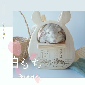 チンチラ ハウス 木製 柏もち 丸型 チンチラ型 一枚板 無垢材 かじっても安心 上に乗れる 小動物 小屋 ナチュラル ケージ用品 春 インテリア