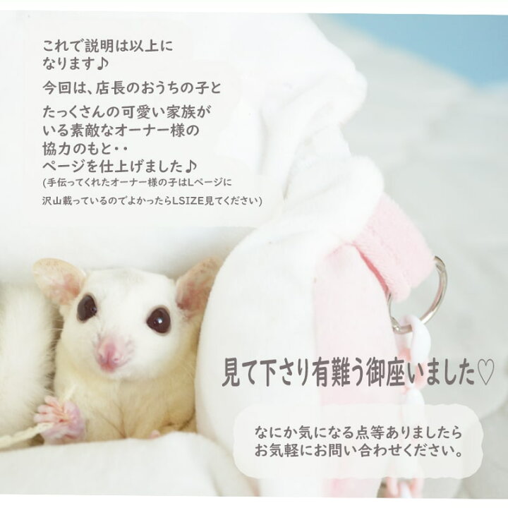 楽天市場】【すぐ届く】 モモンガ ハウス ハンモック 小動物用 ハウス  