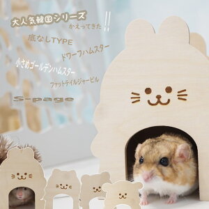 y͂z nX^[ nEX ؐ  Q  ؍ SS Ȃ Vv P[W 킢 ˂    S[fnX^[ h[tnX^[  ybgp