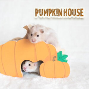 y͂z nX^[ nEX 킢 ؐ nX^[ ObY 킢 ڂ nEX pvL ybg pi ؐ S f 傫 WKA S[fnX^[ h