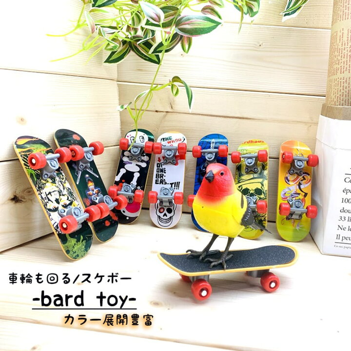 楽天市場 送料無料 鳥 玩具 スケボー バード トイ インコ玩具 鳥のおもちゃ 小型 咀嚼玩具 知育 玩具 訓練玩具 ストレス解消 おもちゃ しつけ 一発芸 トレーニング 運動不足解消 輪投げ 鳥 とり トリ 鳥用品 オウム 小鳥 Minimini