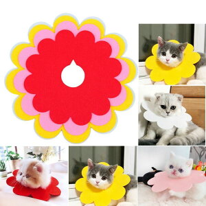 ͂@S4F 5 ybg L  GUxXJ[ y tFg p ̕ی XgXy J[ ԁ@Ђ܂ XS S M L@yNbN|Xgz