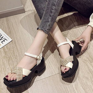 yő50%OFFN[|,2245~zT_ NXXgbv ؍t fB[X r `L[q[ T_ ANXgbv XNGAgD RtH[gV[Y Ȃ