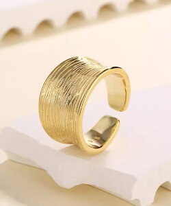 ChO fB[X w ؍ l eNX`[O v`v ߃O  w Vo[ S[h LO gh 10 miniministore 88CXH-132