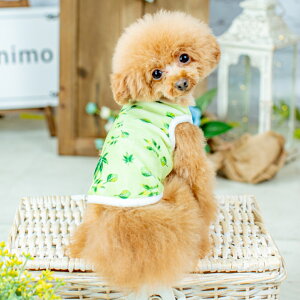 ̕ ^Ngbv   ĕ ̕ m p ^ hbOEFA hbOEGA ybg ybgEFA ėp uh ̎q j̎q ` ^  Ȃ  킢 