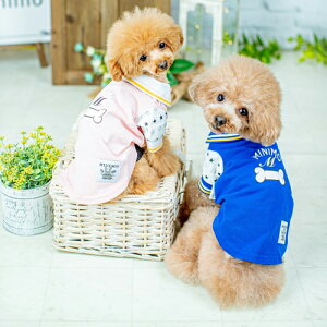 トイプードル 服 男の子の人気商品 通販 価格比較 価格 Com