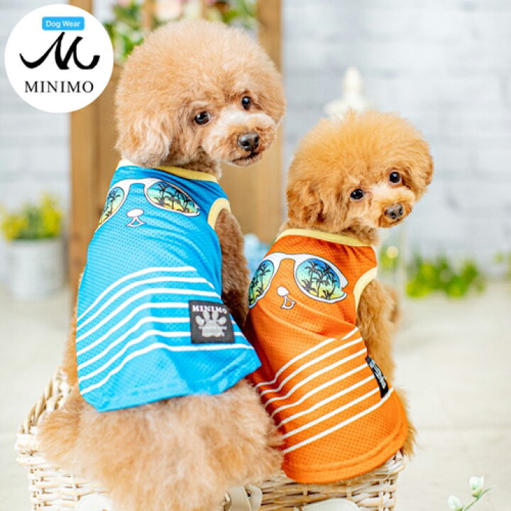楽天市場 犬 タンクトップ 犬服 夏用 夏服 小型犬 服 犬の服 犬洋服 犬用服 ドッグウエア ドッグウェア 可愛い 夏 男の子 女の子 トイプードル ポメラニアン シュナウザー シーズー おしゃれ タンク 袖なし カジュアル ブランド いぬ ペット服 ペットウエア L Xl 送料 楽天市場 犬 タンクトップ 犬服 夏用 夏服 小型犬 服 犬の服 犬洋服 犬用服 ドッグウエア ドッグウェア 可愛い 夏 男の子 女の子 トイプードル ポメラニアン シュナウザー シーズー おしゃれ タンク 袖なし カジュアル ブランド いぬ ペット服 ペットウエア L Xl 送料