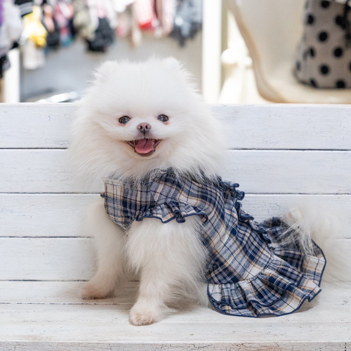 楽天市場】タータン フリル ワンピース XL 大寸 犬 犬服 春夏 いぬの服
