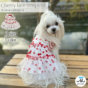  cherry [X s[X t ^ uh ʂ̕ ̕ t ^  hbOEFA  Ȃ hbOEGA ybg ybgEFA gbvX ybgEGA JWA 