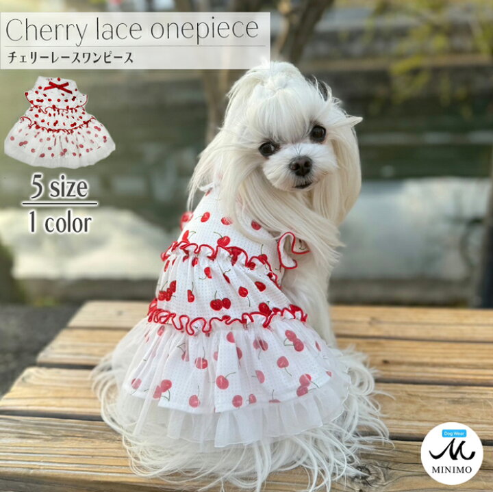 楽天市場】犬服 cherry レース ワンピース 春服 小型犬 ブランド いぬ 