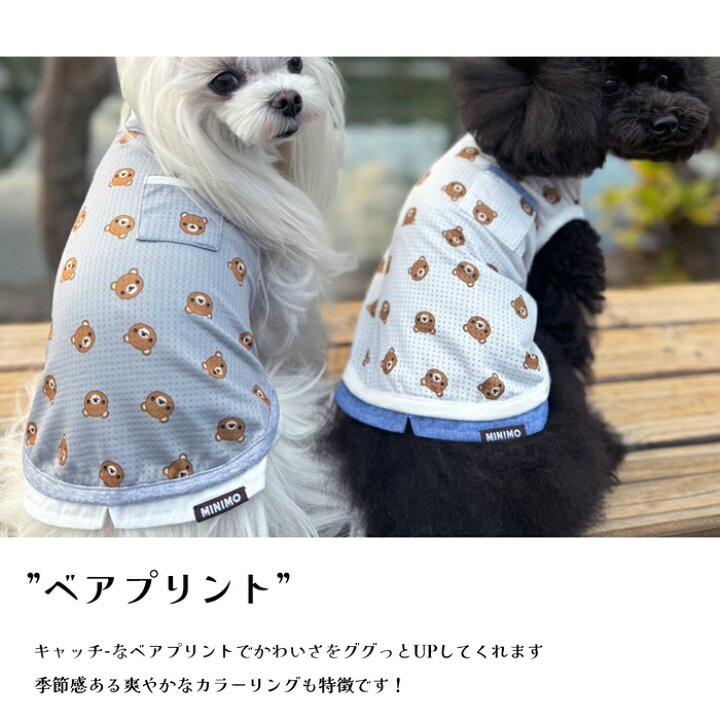 楽天市場】犬服 タンクトップ レイヤード クマさん 春服 小型犬 
