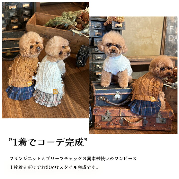 楽天市場】犬服 小型犬 フリンジニットワンピース ブランド いぬの服 