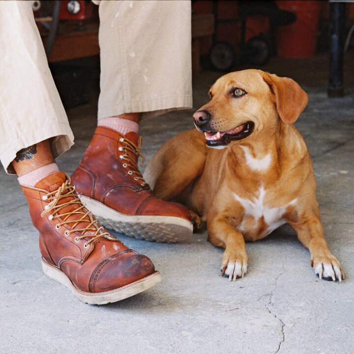 楽天市場】レッドウィング アイアンレンジャー 正規品 RED WING 8089 