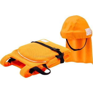 �ł�L���b�v for school DCFS-01 �^�C�J