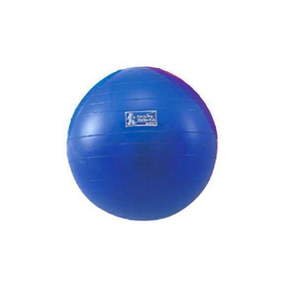 実物 エクササイズボール 直径45cm オンラインショッピング MXEB45 モルテン