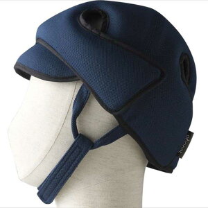 �A�{�l�b�g�K�[�hD�^�C�v �������Ռ��z���d���^ �X�^���_�[�hN �l�C�r�[ 2007 ����ߗ�