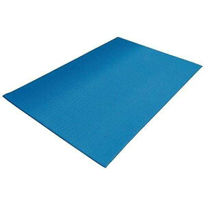 �P�A�\�t�g �N�b�V�����L���O 91×122cm / F-154-12 �u���[ �R��Y��