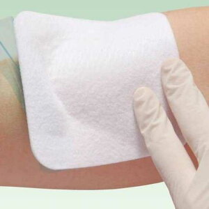 GXACGCh 18753 7 30 APA