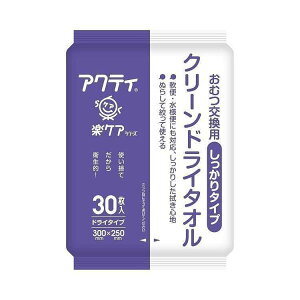 P[X̔ ANeB N[hC^I ^Cv 80890 30×24 {NVA