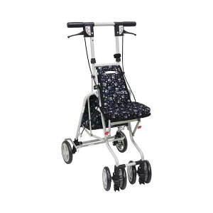 Tj[EH[J[AW-RB NVbNK[fBK 쏊